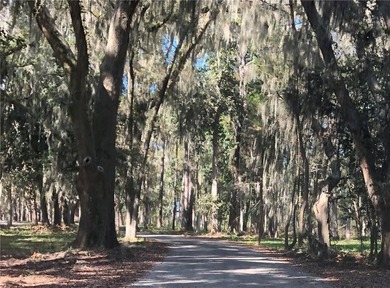 Wake up to breathtaking marshfront sunrises from this 1.13-acre - photo 19