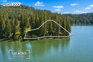 A rare opportunity to own a private lakeside retreat with proven - photo 46