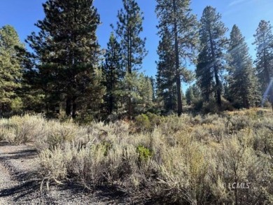 Lake Lot For Sale in Chiloquin, Oregon