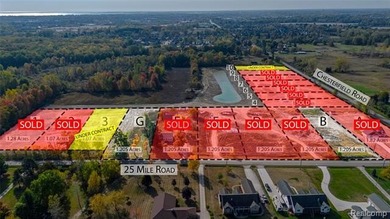 (private lake, pond, creek) Lot Active Under Contract in Chesterfield Michigan