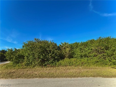 Lehigh Acres Area Lot For Sale in Lehigh Acres Florida