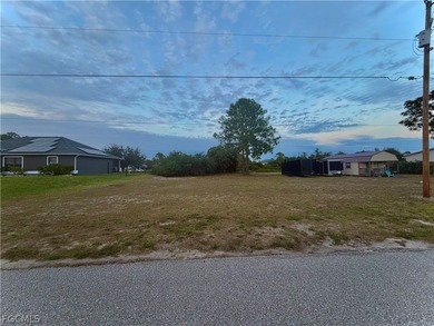 Lehigh Acres Area Lot For Sale in Lehigh Acres Florida