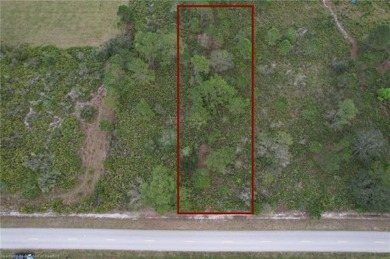 Lake Istokpoga Lot For Sale in Lorida Florida