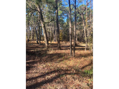 Toledo Bend Lake Acreage For Sale in Hemphill Texas