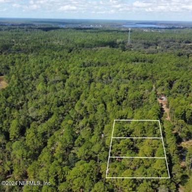Lake George Lot For Sale in Georgetown Florida