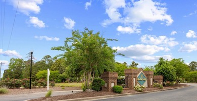 Welcome to this spacious and inviting like-new ranch style home - photo 55