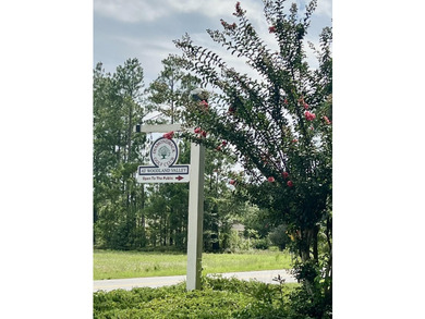 Welcome to this spacious and inviting like-new ranch style home - photo 56