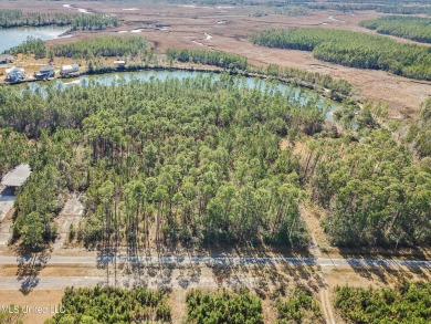 Bayou Caddy Acreage For Sale in Bay Saint Louis Mississippi