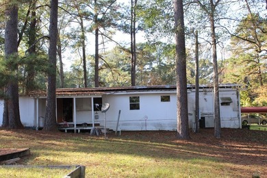 MOTIVATED SELLER! Great Weekend Home Near Sam Rayburn Lake! Just - photo 7