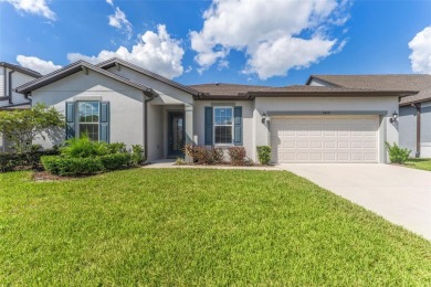 King Lake Home For Sale in Wesley Chapel Florida