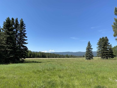 Monte Verde Lake Acreage For Sale in Angel Fire New Mexico
