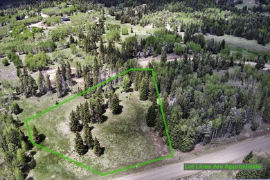Priced reduced!!! Beautiful 2.1 acre lot in Valley of the Utes - photo 2