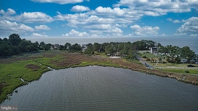 Over an acre of beautiful waterfront on Rock Creek near Chance - photo 2