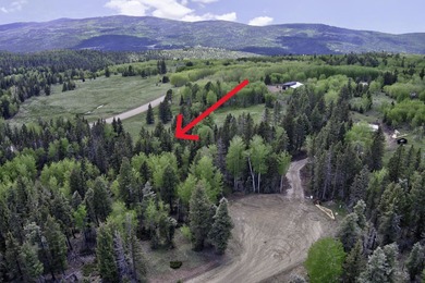 Priced reduced!!! Beautiful 2.1 acre lot in Valley of the Utes - photo 3