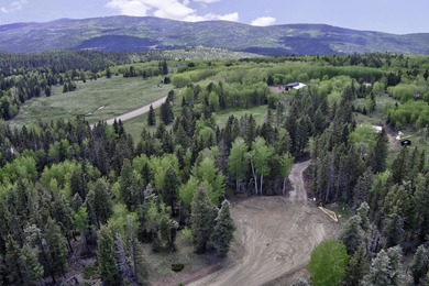 Priced reduced!!! Beautiful 2.1 acre lot in Valley of the Utes - photo 4
