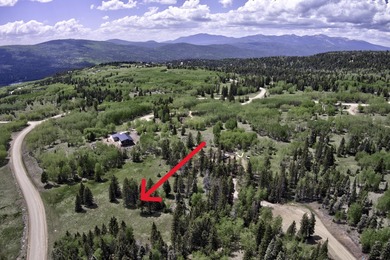 Priced reduced!!! Beautiful 2.1 acre lot in Valley of the Utes - photo 5