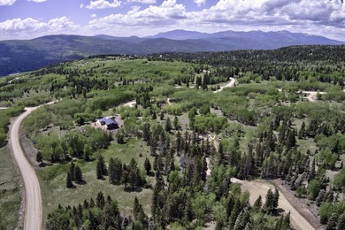 Priced reduced!!! Beautiful 2.1 acre lot in Valley of the Utes - photo 6