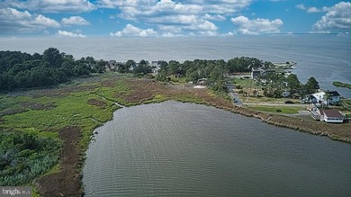 Over an acre of beautiful waterfront on Rock Creek near Chance - photo 6
