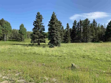 Priced reduced!!! Beautiful 2.1 acre lot in Valley of the Utes - photo 7