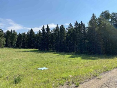 Priced reduced!!! Beautiful 2.1 acre lot in Valley of the Utes - photo 8