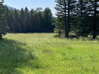 Priced reduced!!! Beautiful 2.1 acre lot in Valley of the Utes - photo 9