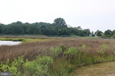 Over an acre of beautiful waterfront on Rock Creek near Chance - photo 9
