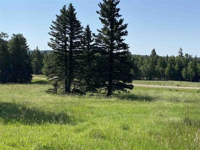 Priced reduced!!! Beautiful 2.1 acre lot in Valley of the Utes - photo 10