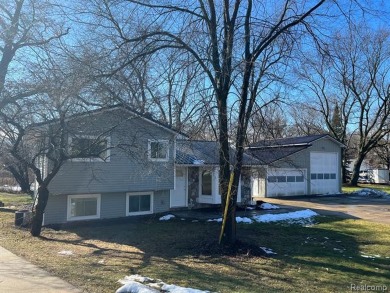 Mandon Lake Home For Sale in White Lake Michigan