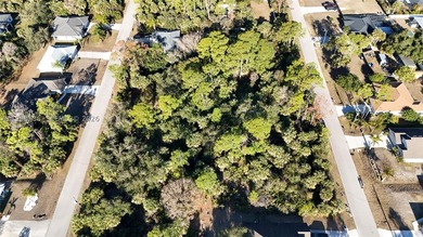 Build your dream home on this 0.23-acre vacant lot located on a - photo 22