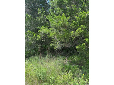 Cade Lakes Lot For Sale in Caldwell Texas