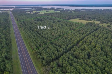 Lake Palestine Acreage For Sale in Frankston Texas