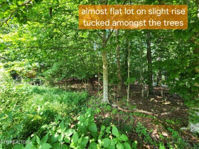 Lake Lot For Sale in Vonore, Tennessee