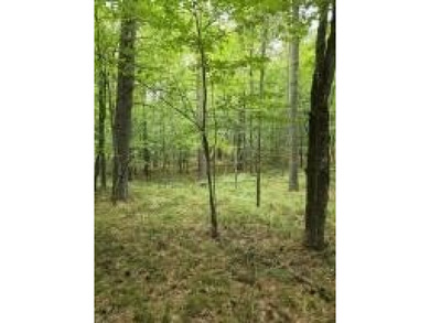 Beautiful 1 Acre building lot in the Ausable Acres subdivision - photo 1