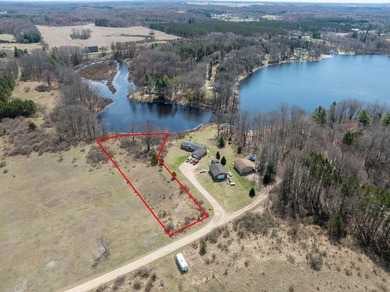 Lake 28 Lot For Sale in Remus Michigan