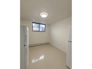 Great investment opportunity in the heart of Flushing. This - photo 9