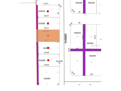 St. Johns River Lot For Sale in Palatka Florida