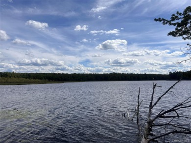 Lake Lot For Sale in Rock Hill, New York
