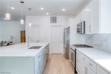 Introducing 'Edgewater South', a Fully Completed townhome with - photo 7