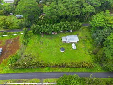 Discover your own private slice of paradise in Hawaiian Paradise - photo 25