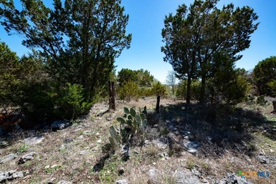 Build your custom Hill Country estate on this exceptional 1 - photo 8