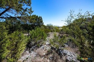 Build your custom Hill Country estate on this exceptional 1 - photo 9