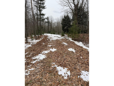 Lake Michigan - Manistee County Acreage For Sale in Manistee Michigan