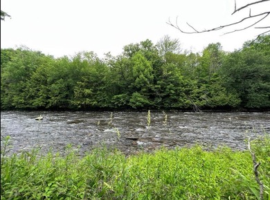 Don't miss this chance to own nearly 2.5 acres with over 210 - photo 2