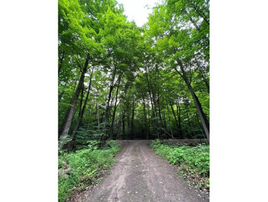 Don't miss this chance to own nearly 2.5 acres with over 210 - photo 3