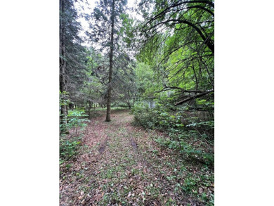 Don't miss this chance to own nearly 2.5 acres with over 210 - photo 4
