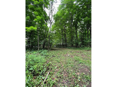 Don't miss this chance to own nearly 2.5 acres with over 210 - photo 10