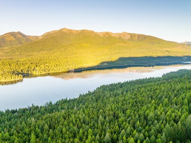 Beautiful forest on 11.59 acres above Swan Lake on the west - photo 8