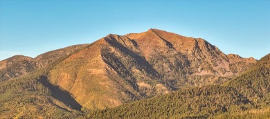 Beautiful forest on 11.59 acres above Swan Lake on the west - photo 9