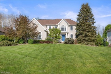 Prestige-built home blending classic American elegance with - photo 1