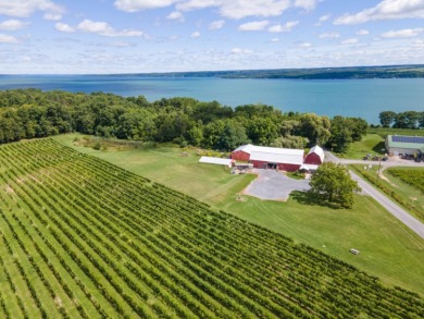 Cayuga Lake Commercial For Sale in Ovid New York